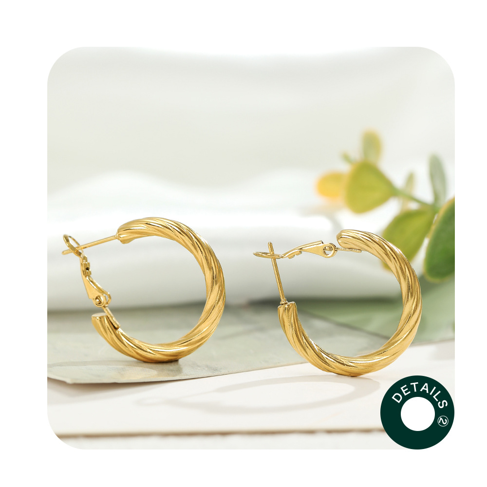 Fashion Circle Stainless Steel Plating Earrings 1 Pair