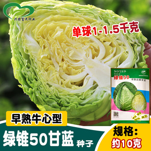�r�����G�F50���{�N�� ����ţ���͸��{�N�� ���Դ�����Ĳ��߲���