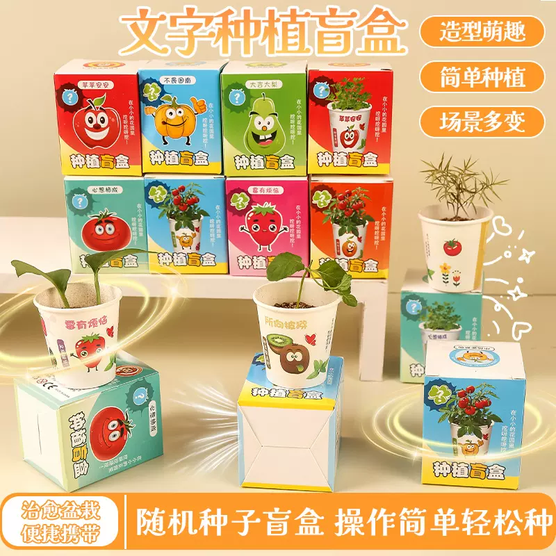 创意植物盲盒小盆栽幼儿园礼物室内种植花卉种子学生桌面绿植盆栽