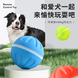 猫猫玩具;狗狗玩具