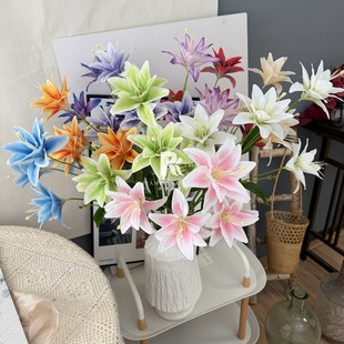 �羳�¿�4�^�ذ�ٺ�3D���滨��c��Y�bٺϻ��͏d�廨�ٻ���