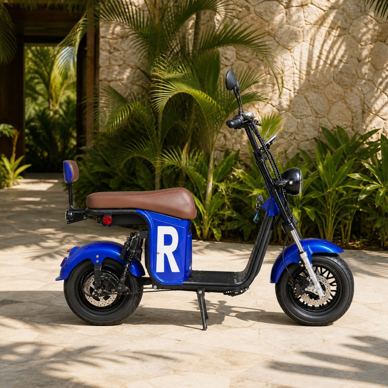 Brazil Harley Citycoco large wheel wide tire electric vehicle adult electric bicycle electric motorcycle battery vehicle manufacturer