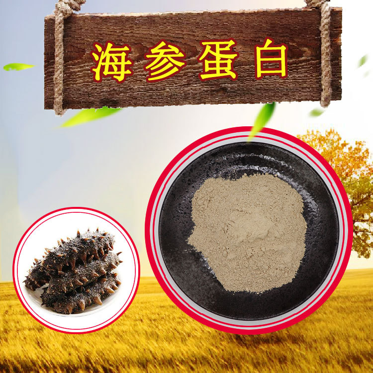 海参蛋白60%蛋白肽浓缩粉藤迈直销品质保证可出口海参提取物