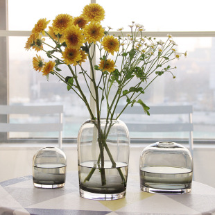 European-style simple vase creative INS glass flower living room dining table small mouth home flower vase crafts