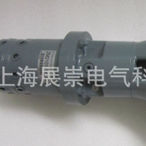 ZM505+1GD    SKF多头泵 电机  马达