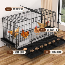 鸡笼子大号养鸡笼子家用室内滚蛋鸡笼自动出蛋母鸡笼鸭笼鹅笼