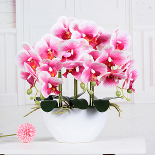 Factory Outlet Phalaenopsis Artificial Flower Decoration Living Room Feel Orchid Fake Flower Desktop Flower Dining Table Flower Juanhua