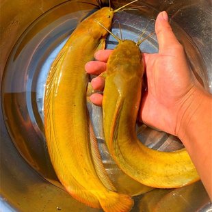 ���ڻ���һ̖���������~��ˮ�Bֳ������T���S���X���T�~���X�~��