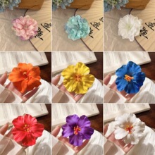 Ψ������l�A�߼��о���߅�A���������b������A�Շ��ЊA�Ӱl�