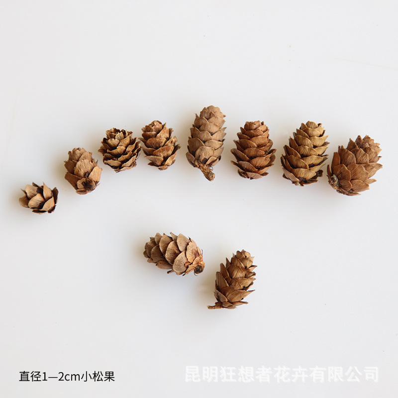 Màu sắc cơ bản của quả thông nhỏ siêu nhỏ 1-2cm (một túi 20 gam, khoảng 25 chiếc)