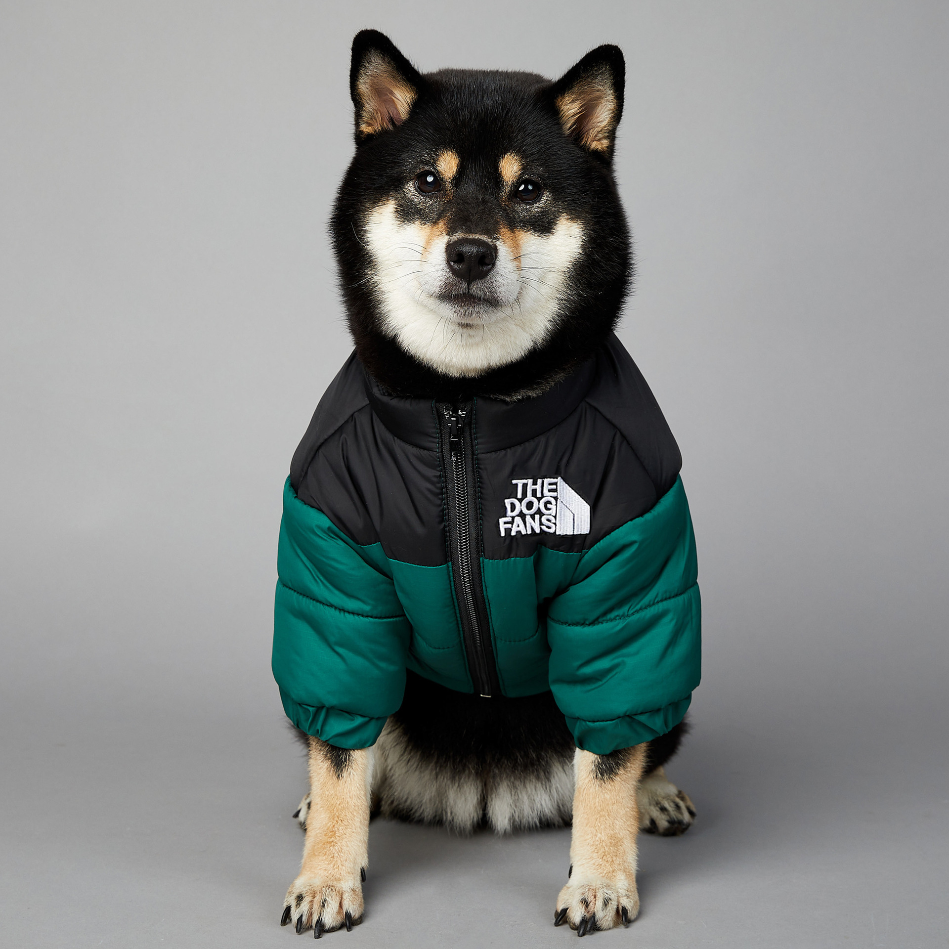 US Trend Brand Dog Face Windproof and Waterproof Large Dog Winter Warm Raincoat Pet Cotton Jacket Adventure Jacket