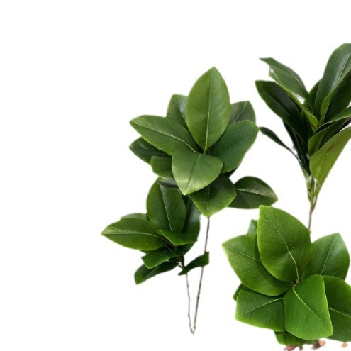 Ins hand-feeling magnolia leaves simulated long-branched plants…