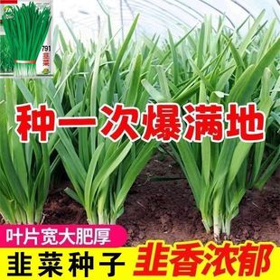 791�׸���²�����~��Ʒ�N��ζ�����ļ��̨�����߲���