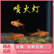 ������~������~С�͟Ꭷ�~��ˮ���~�ݸ��~Ⱥ�Ό�����w���]����