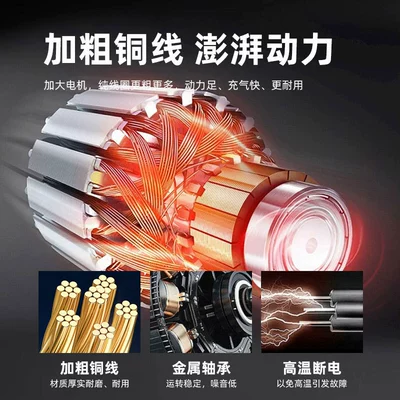 car tire air pump, Hava nasosu