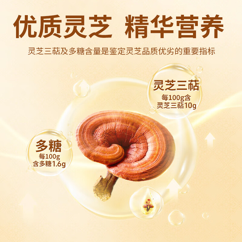 壁を破った霊芝胞子粉末カプセル OEM カスタマイズされたブルーハット健康食品免疫力強化メーカー OEM|undefined