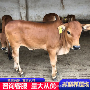 �V����ţ�Bֳ��������ţƷ�N���T����ţ�������Sţţ��