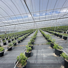 �Ӻ�PE���ϻ�͸ˮ���ݵز����@���s�ݵز�������@���ݲ��S�����l