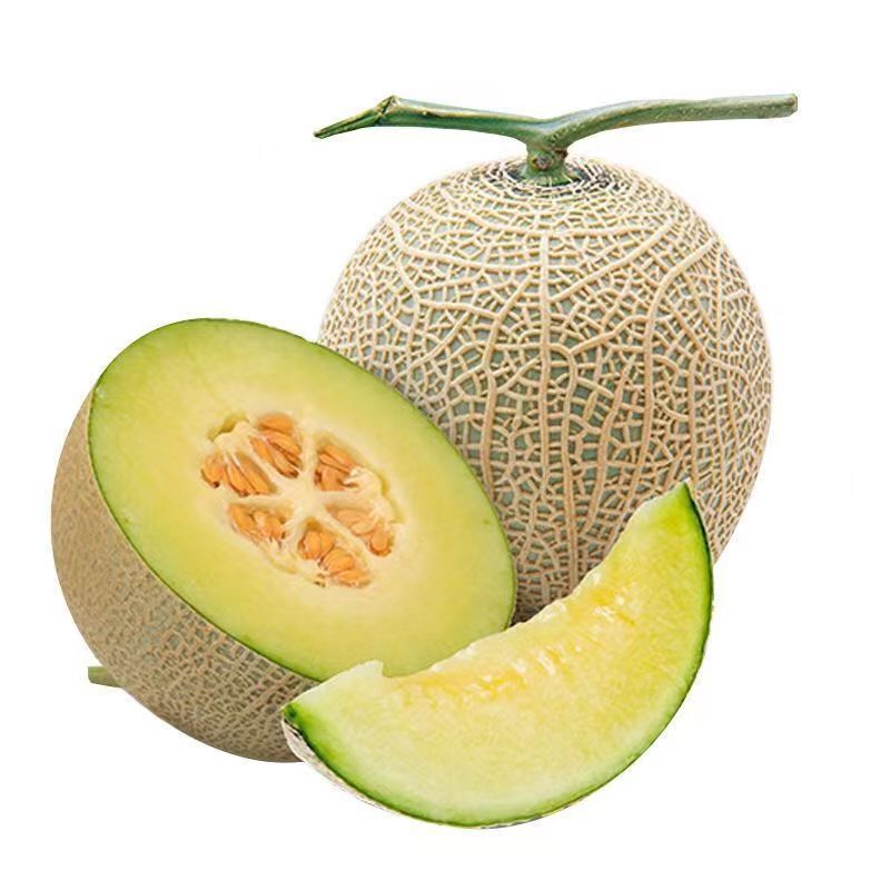 Meilong Melon Mesh Melon Ice Cream Melon Fresh Fruit Mesh Cantaloupe Wholesale Dropshipping