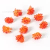 Small chrysanthemum