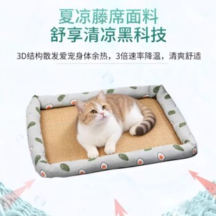 �ļ�؈�C��ϯ���CС������Ȯ����˯�|̩�ϲ���������C؈�ļ�ͨ��