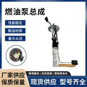 Fuel Pump Assembly 2520786 2521030 Suitable for Victory Vision All, Factory Stock Available for Immediate Delivery