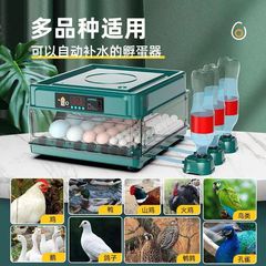 クロスボーダー全自動孵化機自動上水孵化器鶏鴨ガチョウ鳩知能家庭用孵化器の供給源