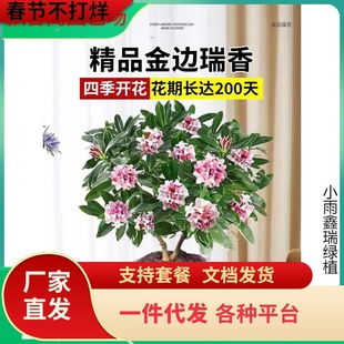 һ�����l��߅�������ԝ����͎�����ֲ���҃Ȼ����Ϙ��m���ﶬ�B��