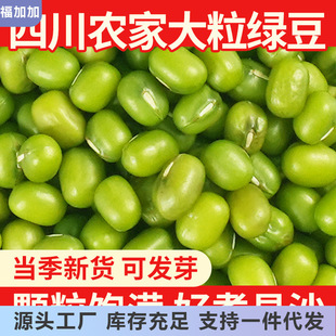 �G����؛500g���|�����ǖ|���G���ɰlѿ�G�������÷N���w��������
