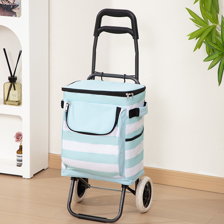 Foldable and Portable Household Shopping Cart with Ice Pack, Lightweight Outdoor Trolley, Supermarket Grocery Cart, Small Trailer