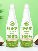 椰子水饮料鲜榨纯椰子汁植物饮品1升*1瓶装 果汁孕妇可喝椰汁