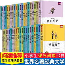 ČWȫ49СWnČWСfnx]