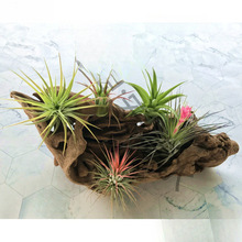 �P�洹��P������Gֲ��֧�ܿ՚⹫�ҵ�����ܼ��ӻ����k����ֲ��