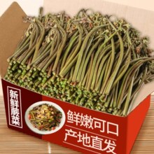 �F��ާ�����r�Fժɽާ��Ұ�ˮ������r�߲���צ�ʲ�ާ̦�r�۲˰��]