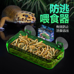 诺摩爬虫防逃喂食器食水盆防逃脱爬宠蜥蜴守宫鬃狮面包虫大麦虫