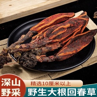 野生回春草500g正宗不老草顶天柱茴阳中药材新鲜男肾滋补泡茶酒料-阿里巴巴