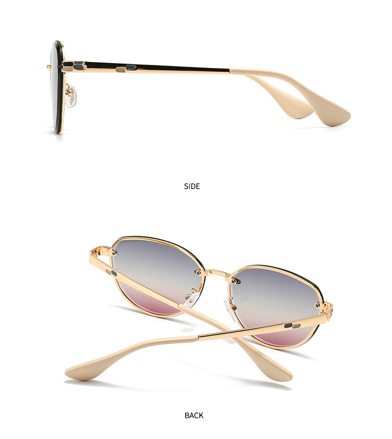 European and American Modern Retro Narrow Sunglasses High-End Women's Ins Style Sunglasses Versatile Trendyy Sunglasses 2506_voghion.com