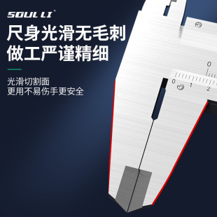 Stainless Steel Vernier Caliper Oil Gauge Small Household Industrial Grade Oil Gauge Micrometer High Precision Caliper Others
