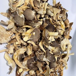 ��؛ƽ����؛��Ģ���ɾ����ʳ��ƽ��