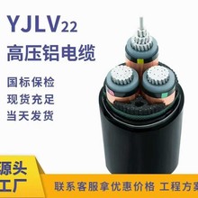 YJLV22 ���˸߉��X��| 8.7/15KV 1/3о �S��ֱ��