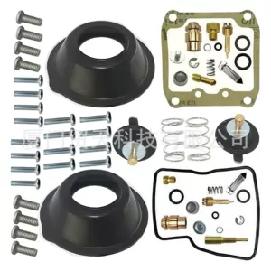 Carburetor Repair Kit for Suzuki Vs1400 Vs800 Vs800Gl Vz800 1400
