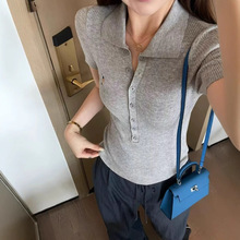 nϵ͹Ŵ̽СR˶ᘿPOLOļŮbζI¶t