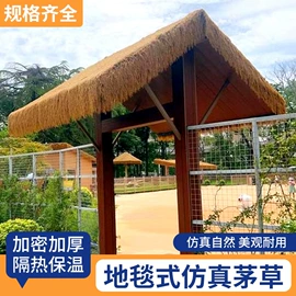 跑道草坪;其他景观材料
