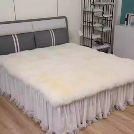 除尘掸;家用地毯;坐垫椅垫