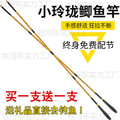 小玲珑鲫鱼竿超轻超细调鱼竿手竿碳素长节台钓竿钓鱼竿渔具套装