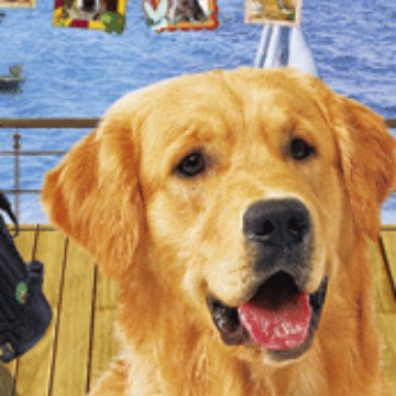 定 制光栅3D书签，bookmark，Bookmark  card,尺子印刷厂，3D书签