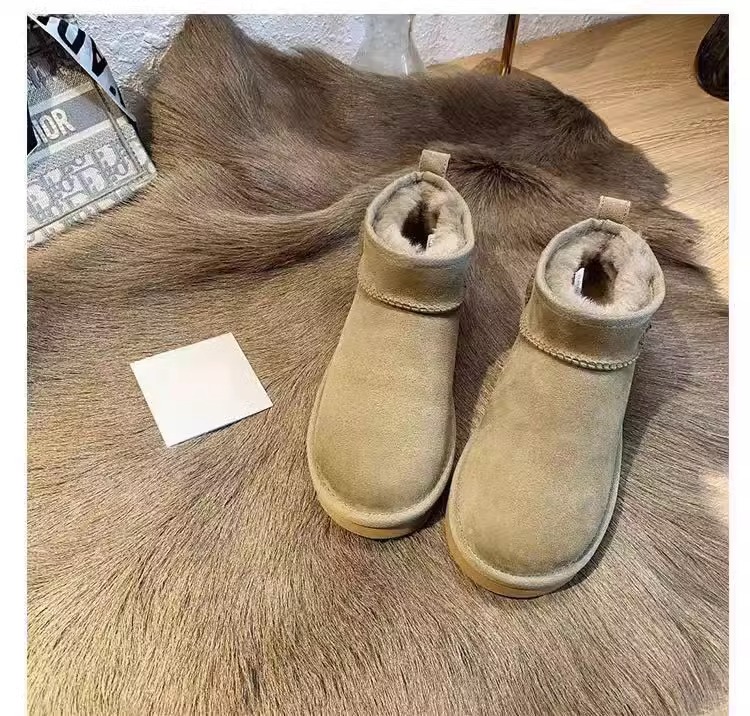 영양 브라운