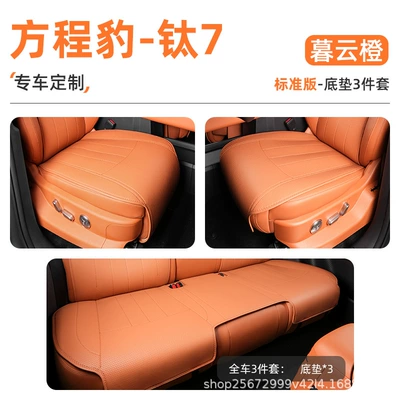 Seat cushion, seat cover Seat Cushion Models 25-26, Special - muyun-orange-3-piece-set-full-car-floor-mats-equation-leopard-titanium-7