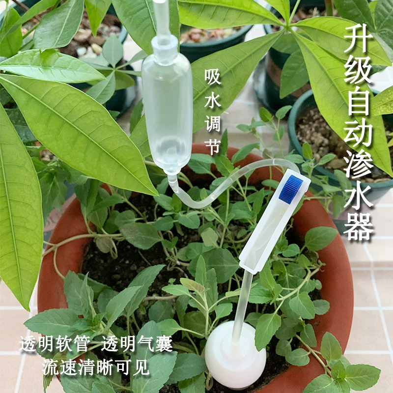 Автоматическое устройство для полива цветов Plant Lazy Hose для отдыха, путешествий и командировок, капельное орошение для дома, капельница для полива