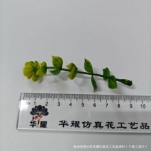 �����ȼ����軨����ֲ�������X�~õ����滨�����҃��b����